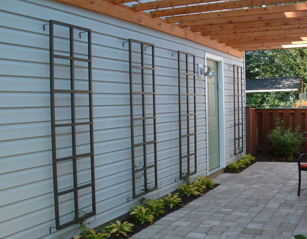 4 x 8 wall trellis
